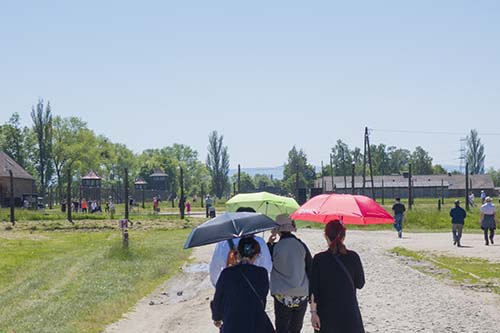 Photogrtaph of Birkenau visitors carrying sun umbrellas in May 2017.